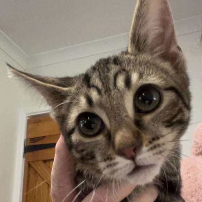 Photo of Waylon