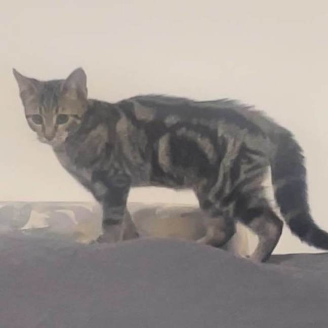 Photo of Waylon