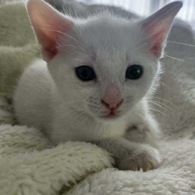 Photo of Cloud