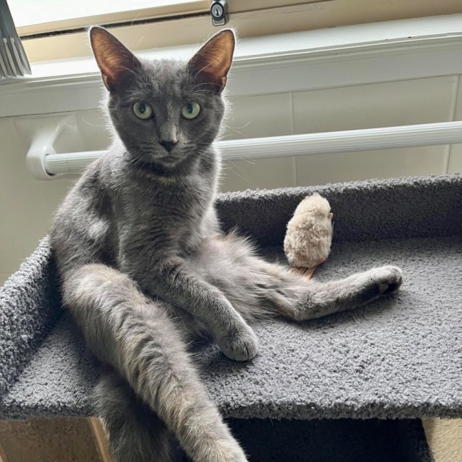 Photo of 💟 Silvee 💟