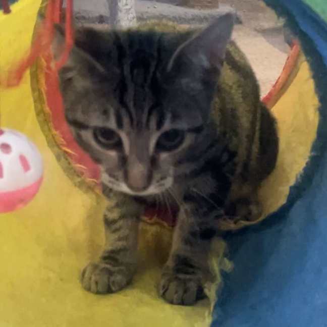 Photo of Waylon