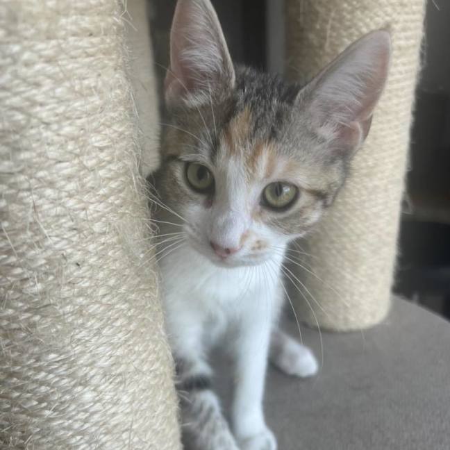 Photo of Maggie May
