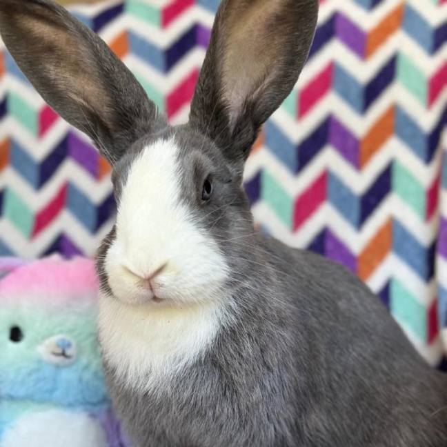 Photo of Masiy (Located In Wantirna South)