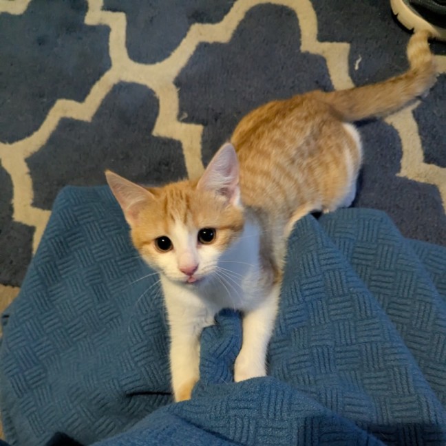 Photo of Ricette (Ricky)