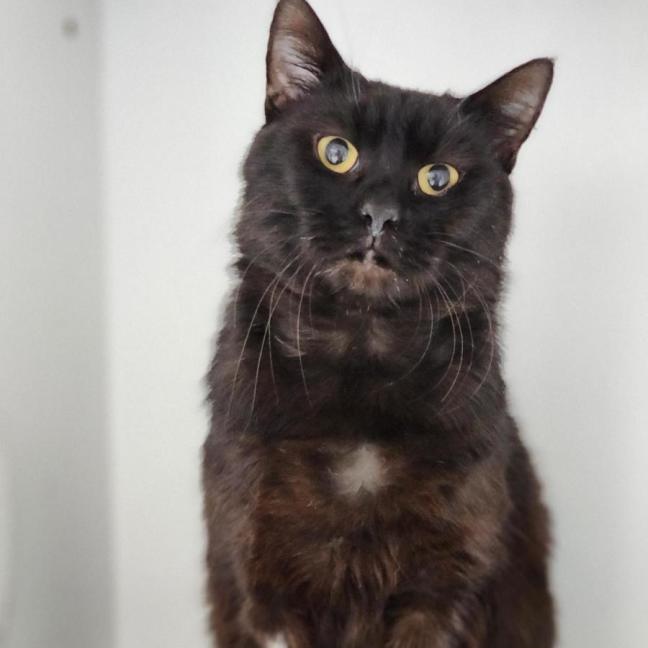 Photo of 😎 Felipe 6811 😎