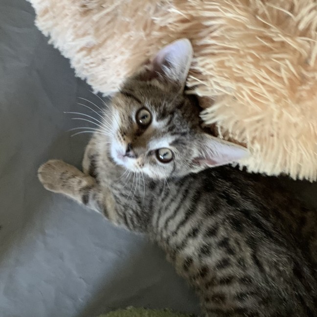 Photo of Isla💕💕💕