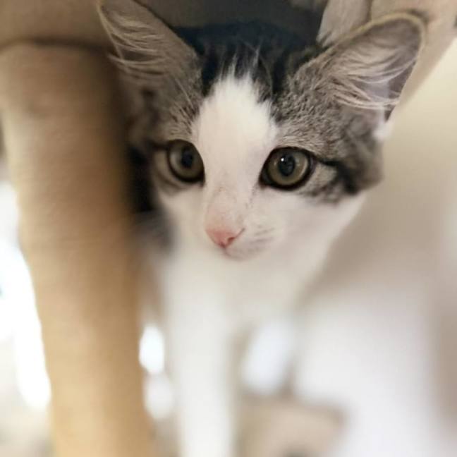 Photo of 🧚Elfina🧚‍♂️