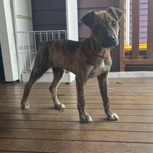 Photo of Zara