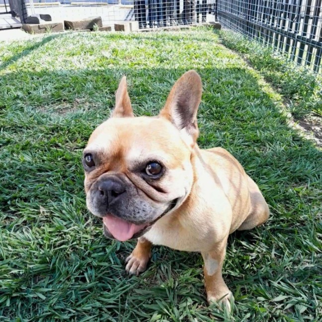 Photo of Muriel