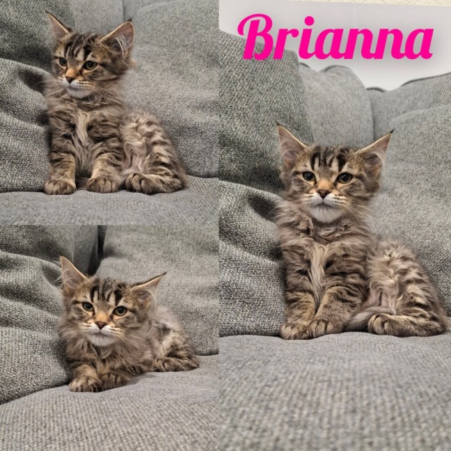 Photo of Brianna & Blossom