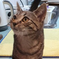 Photo of Tabitha
