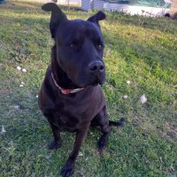 Photo of Dj
