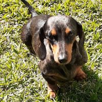 Photo of D1025 Bolts 