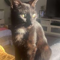 Photo of Princess
