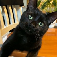 Photo of Ernie And Binx