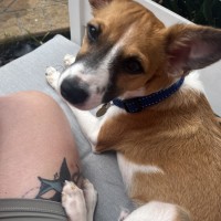 Photo of Rodney