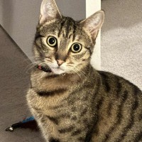 Photo of Ferris & Felix