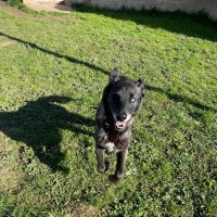 Photo of Ghost
