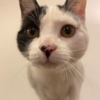 Photo of Birdie & Boo🐦