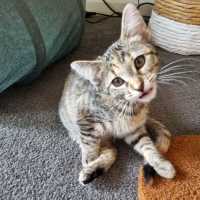 Photo of Maisy