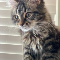 Photo of Jagger & Freya Rose 🌹