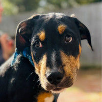 Photo of Axel