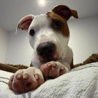 Photo of Cookie Oliver