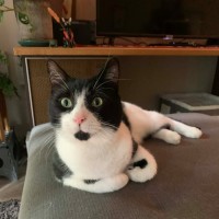 Photo of Taco