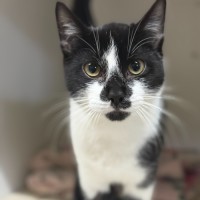 Photo of 🌵 Jeremiah 6268 🌵