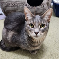 Photo of Charlotte & Scarlett 🌷🌷