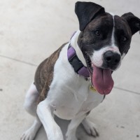 Photo of Tessa