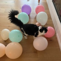 Photo of Floof