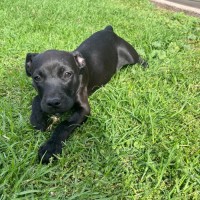 Photo of Sharpay