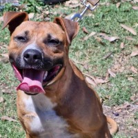 Photo of Santa’s Little Helper