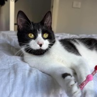 Photo of Dottie
