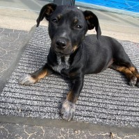 Photo of Bingo