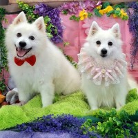 Photo of Marty & Kimba