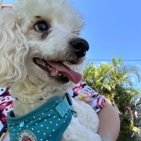 Photo of Crystal 