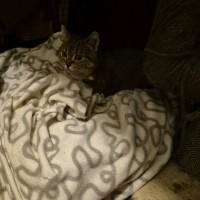 Photo of Claudia