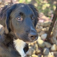 Photo of Optimus Prime