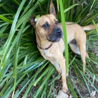 Photo of Narla