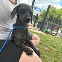 Photo of Hettie