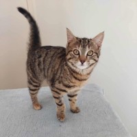 Photo of Willow 🌱