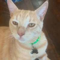 Photo of Maverick