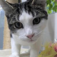 Photo of 🐒 Terrence 7015 🐒 