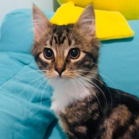 Photo of Morgan   Located In Grantville