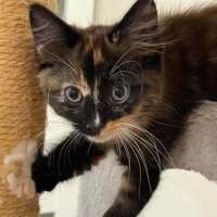 Photo of Cherish