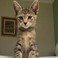 Photo of C1530 Garrett