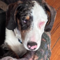 Photo of Slinky