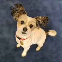 Photo of Senorita